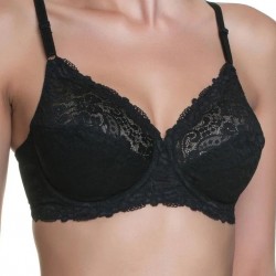 Triumph Compliment ' Triumph Compliment '
