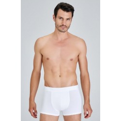 Kom Colin Boxer 2´li Ekonomik Kutu